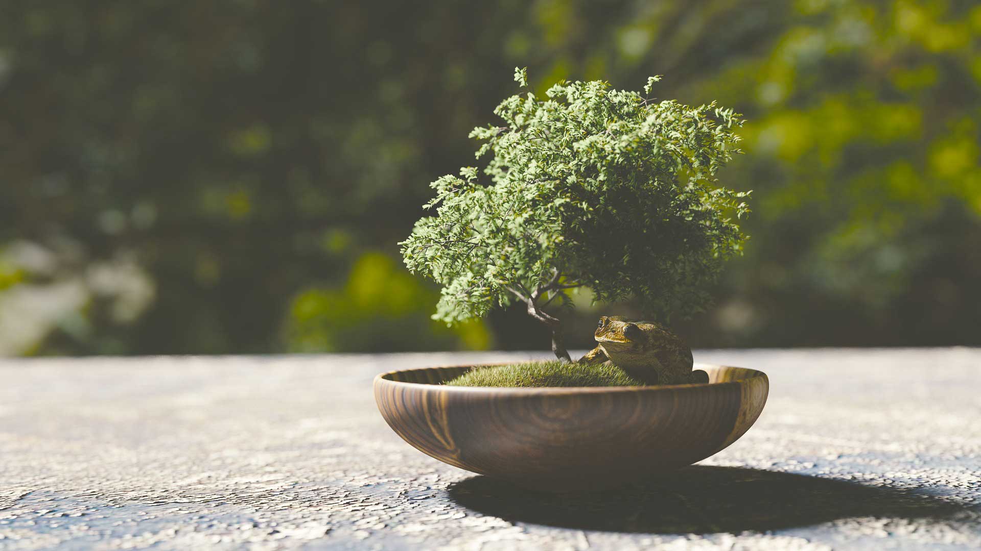 Tecnica Bonsai