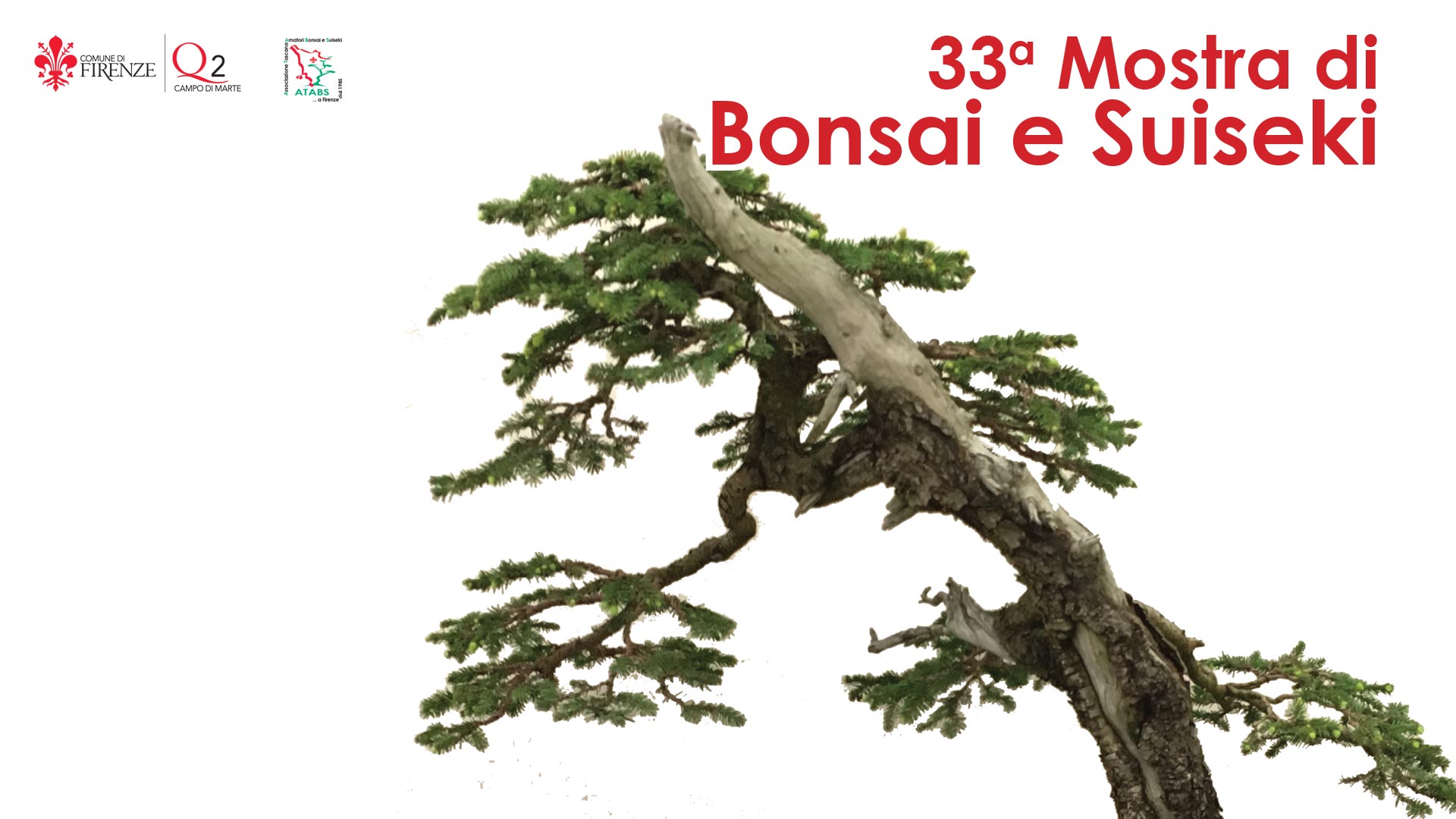 Trentatreesima Mostra di Bonsai e Suiseki