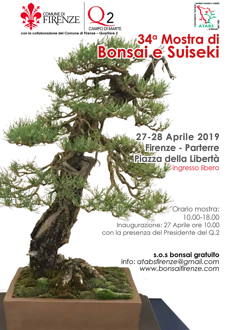 mostra_2019