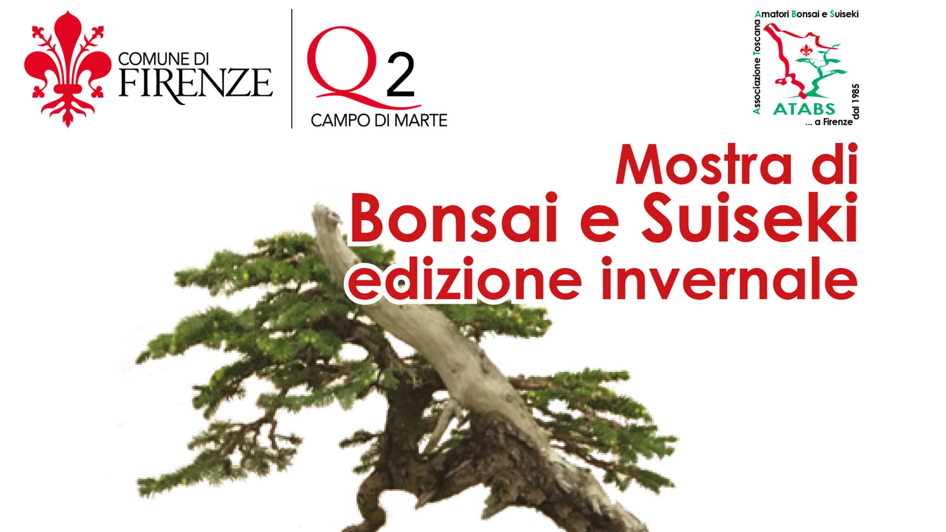 Mostra di Bonsai e Suiseki Edizione Invernale