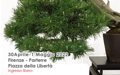 Trentacinquesima Mostra Sociale di Bonsai e Suiseki