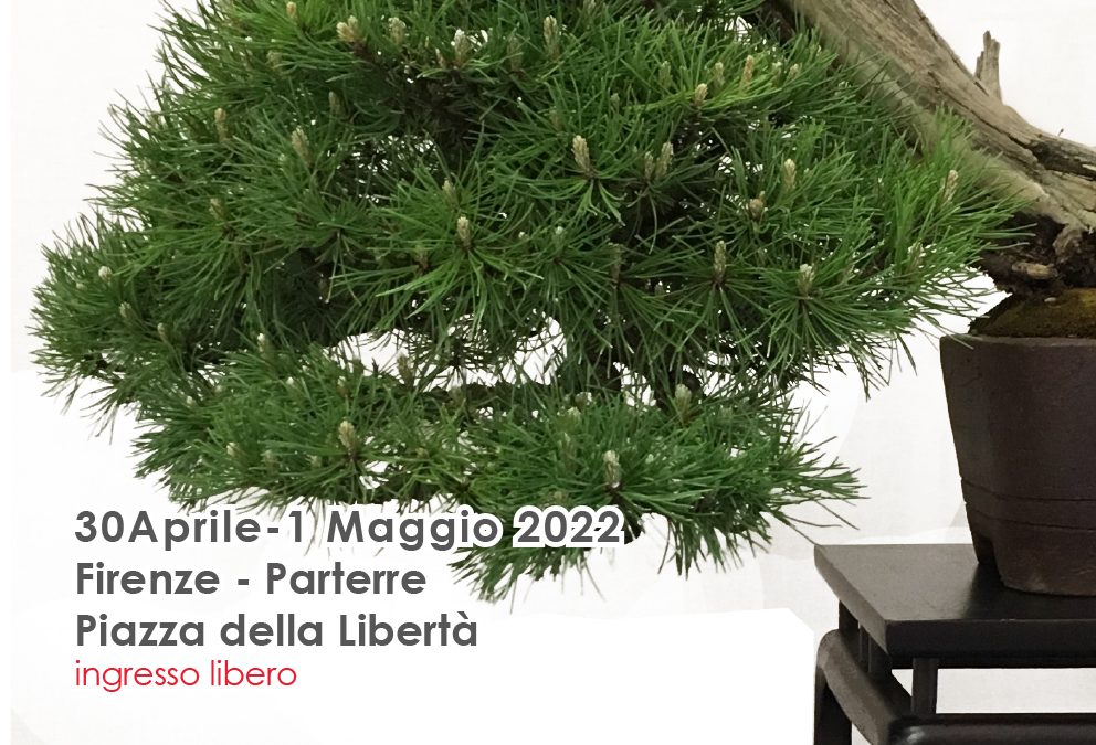 Trentacinquesima Mostra Sociale di Bonsai e Suiseki