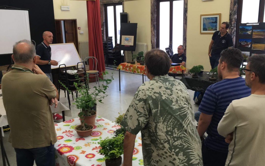 Corso principianti – Venerdì 16/06/2023